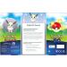 Pokemon TCG Pokemon GO Premium Collection - Radiant Eevee | Buy Now - Buy Online on GoSupps.com