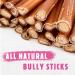 Premium Bully Sticks for Dogs - All-Natural Beef Pizzle Sticks for Puppies to Medium Dogs Dental Chew Treats for Healthy Teeth and Gums Fully Digestible Gluten-Free (Thin 12-15 cm 250gr) Thin-Regular 15 count (Pack of 1) - Buy Online on GoSupps.com