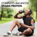 Buy Bluebonnet Nutrition Organic Plant Protein - 18g Protein Vegan Non-GMO Gluten-Free Chocolate Flavor - 1 LB - Buy Online on GoSupps.com