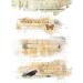 Script Pieces Overlay Rice Paper  8 x 10.5 inch - 6 x Different Printed Mulberry Paper Images 30gsm Visible Fibres for Decoupage Crafts Mixed Media Collage Art - Buy Online on GoSupps.com
