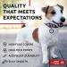 Waudog Ethno Blue Nylon Dog Collar for Large & Medium Dogs - Adjustable 23-35 cm 15 mm Width | Perfect for Puppies & Small Breeds - Buy Online on GoSupps.com