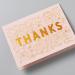 Cricut Joy Pastel Cutaway Cards - Spring Rain Sampler - Buy Online on GoSupps.com