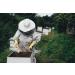 Premium Bees Pollen 1 kg - Pure Residue-Free Sweet & Mild Quality for Health | International Shipping - Buy Online on GoSupps.com