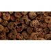 Ceylon Cinnamon Stick Bark Quills - 21 Inch | Cinnamomum Verum from Sri Lanka - Perfect for Sweet and Savoury Dishes - Natural, Vegan, GMO Free - 1 Quill - Buy Online on GoSupps.com