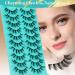 Lash Clusters 10 Pairs Wispy Eyelash Extensions, 9D False Eyelashes for a Natural Soft Look - 10 Pairs | INSPIRATION - Buy Online on GoSupps.com