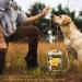 Freeze-Dried Quail Egg Yolk for Cats and Dogs Training 240g Healthy Tasty Freeze-Dried Pet Food Limited Ingredient Quail Egg Yolk Natural High Protein Pet Treats Snacks for Dogs Cats - Buy Online on GoSupps.com