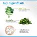 CHI HydrateCare Intense Leave-In Treatment | Nourish & Revive Dull Hair - International Shipping Available - Buy Online on GoSupps.com