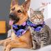Buy Multi-Colored Triangular Dog & Cat Scarves | 2 Pieces for All Sizes - Shop Internationally! - Buy Online on GoSupps.com