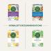Traditional Medicinals - Organic Raspberry Leaf Herbal Women's Tea (Pack of 1) - Sustainably Sourced Fair Wild Red Raspberry Leaf - 16 Tea Bags Total - Buy Online on GoSupps.com