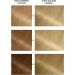 Garnier Belle Color 9.3 Light Honey Blonde - Permanent Hair Color - Buy Online on GoSupps.com