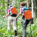 2 Pieces Blaze Orange Safety Panel Large Pentagonal Orange Panel Hunting Mesh Blaze Orange Pack Attachment with Reflective Strip on Tent Backpack for Field Trip Hiking Camping Biking Outdoor Traveling - Buy Online on GoSupps.com