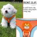Rennaio No Pull Dog Harness & Leash Set - Adjustable Comfortable Chest Harness for Small & Medium Dogs - Orange (L) - Perfect for Training & Walking - Buy Online on GoSupps.com