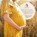 Jovitea Bio Raspberry Leaf Tea Set | 100% Natural Pregnancy Tea | 2x 80g | Ideal for Birth Preparation - Buy Online on GoSupps.com