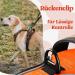 Rabbitgoo Dog Harness for Small Dogs - Adjustable No-Choke Softly Padded Reflective with Handle - Anti-Train Design - 1 Pack Orange - Buy Online on GoSupps.com