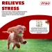 ZENO Dog Toys - Pack of 10 | Rope Chew Toys for Dogs | Strong Rope Ball & Tug for Teething & Training | Puppy Teething Toys | 100% Natural Cotton | Great for Small Medium & Large Puppies & Adults - Buy Online on GoSupps.com
