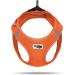 Shop Curli D-Ring Buckle Vest Harness L | Premium Mandarin Dog Harness for International Shipping - Buy Online on GoSupps.com