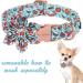 Unique Style Paws Dog Collar with Flower | Comfortable Adjustable Cotton Collar for Dogs | XL Size 40.6-66 cm - T rkiPartei - Buy Online on GoSupps.com