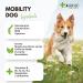 4-BEINER Mobility-DOG 120 tablets for dog joints devil's claw MSM chondroitin glucosamine hyaluron frankincense extract bromelain green-lipped mussels vitamin B etc. - Buy Online on GoSupps.com