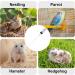 Buy 10pcs Young Birds Feed Syringe - Essential Pigeon Accessories & Hand Feeding Tools for Baby Birds & Parrots - Easy to Clean Feeder for Milk Water & Medication - Buy Online on GoSupps.com