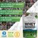 Vanilla Whey Protein Powder - Grass Fed Isolate with Real Sugar & Vanilla Flavor - Perfect for Shakes, Smoothies, Cooking & Baking - Non GMO & Gluten Free - 1 lb Pack - Buy Online on GoSupps.com