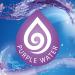 Bloo In Cistern Twin Blocks Violet - Long Lasting Anti-Limescale Cleaning & Purple Water Technology - 2 Count - Buy Online on GoSupps.com
