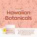 Hanalei Vegan & Cruelty-Free Sugar Lip Scrub Exfoliator - Made in USA with Hawaiian Cane Sugar, Kukui Oil, Shea Butter - 22g - Buy Online on GoSupps.com