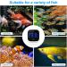 Buy Brifit Mini Digital Aquarium Thermometer - LED Display Touch Screen High Precision for Freshwater & Marine Aquariums - 1 Piece (White) - Buy Online on GoSupps.com