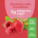 Yum-Vs Prebiotic Fiber Gummies: 5g Digestive Aid for Adults & Kids - Keto Friendly Daily Fiber Supplement - Unflavored - 90 Count - Buy Online on GoSupps.com