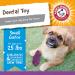 Arm & Hammer Treadz Dental Toy for Strong Chewers - Small Gator - Buy Online on GoSupps.com