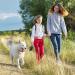 Etechydra Dog Retractable Leash 5m/16ft Gray - Heavy Duty Nylon Tape Leash with Anti-Bite Steel Chain for Medium Large Dogs - Buy Online on GoSupps.com