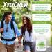 Xylichew Spearmint Chewing Gum - 100% Xylitol, Non-GMO, Sugar-Free, 60 Count Jars (Pack of 4) - Oral Care & Fresh Breath - Buy Online on GoSupps.com