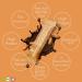 High Protein Collagen Bar - Almond Chocolate & Peanut Chocolate | 12x55g | Low Sugar Palm Oil-Free - Buy Online on GoSupps.com