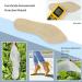 Canmore Bionic Non-Slip High Heel Insoles for Women - Waterproof & Breathable Silicone Inserts - Size 8-9/40 - Buy Online on GoSupps.com