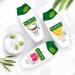 Palmolive Shower Gel Naturals Coconut & Milk 6x250ml | Moisturising Cream Shower Gel for Delicate Skin | Buy Online - International Shipping - Buy Online on GoSupps.com