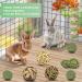 Erkoon Rabbit Chew Toys - 11-Piece Natural Apple Wood & Timothy Hay Set for Bunnies Chinchillas & Guinea Pigs - Dental Care & Fun! - Buy Online on GoSupps.com
