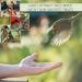 PICKY NEB Non-GMO Dried Mealworms - High-Protein Treats for Chickens, Ducks, Birds & More - Buy Online on GoSupps.com