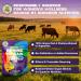 Beef Organ Supplement for Women (Liver Kidney Uterus Heart & 4 More) with Ashwagandha DIM Vitamin & Black Cohosh Grass Fed Beef Liver Capsules for Endocrine Balance Energy 120 Capsules 120 Count (Pack of 1) Purple - Buy Online on GoSupps.com