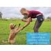 Pet Impact Eco-Friendly Dog Treat Pouch for Convenient Dog Walking - Essential Training and Wanderlust - Buy Online on GoSupps.com