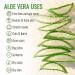 Manuka Honey Aloe Vera Gel for Skin - Organic Sunburn Relief and Acne Treatment - 100% Pure Aloe Vera Gel for Face, Hair, and Scalp - Buy Online on GoSupps.com