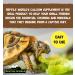 Reptile World Calcium Powder 100g Pouch Calcium for Tortoises Bearded Dragons - Buy Online on GoSupps.com