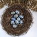 Set of 20 Mini Crystal Mix Eggs Polished Tumbled Rock for Healing and Meditation Variety Crystals Stone Easter Eggs Healing Crystals Eggs - Buy Online on GoSupps.com
