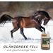 Supravit Black Cumin Oil for Horses & Dogs | 1000ml Cold Pressed Natural Oil | German Quality for Feeding Fur & Hoof Care - Buy Online on GoSupps.com