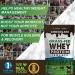 Organic Chocolate Whey Protein Powder - Grass Fed Isolate with Real Sugar & Himalayan Salt - Gluten Free & Non GMO - 1lb - Buy Online on GoSupps.com