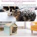 MARUNDA Heated Cat House - Indoor & Outdoor Kitty Shelter for Winter - Easy Assembly, Warm & Cozy (2 Step Finish) - Buy Online on GoSupps.com