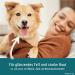 Animalius Skin & Fell Biotin Liquid 500ml for Dogs - Zinc Biotin & MSM for Itching Hair Loss & Shiny Coat - Buy Online on GoSupps.com