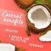 Dirty Works Tropic Like it's Hot Tropical Rain Power Coconut Body Wash 280ml 280 ml (Pack of 1) - Buy Online on GoSupps.com