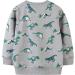 Kids Dinosaur Sweatshirt | Cotton Long Sleeve Pullover for Boys & Girls | Toddler Baby Clothes 2-3 Years Grey - Buy Online on GoSupps.com