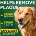 TropiClean Fresh Breath Oral Care Gel for Dogs - 4 oz Dental Toothpaste Gel, Removes Plaque & Tartar, Breath Freshener - Buy Online on GoSupps.com