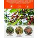 BAILINHOU Sichuan Peppercorn Powder 0.88oz/25g - Red Szechuan Peppercorns Ground from China - Buy Online on GoSupps.com