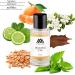 Monac - Ex Niihillo Collection - Eau de Parfum - 50 Ml 95%-99.9% similar Long Lasting 8-15 hours Premium Quality Ingredients (Beautiful City Inspired by Chandigarh Express (u)) - Buy Online on GoSupps.com
